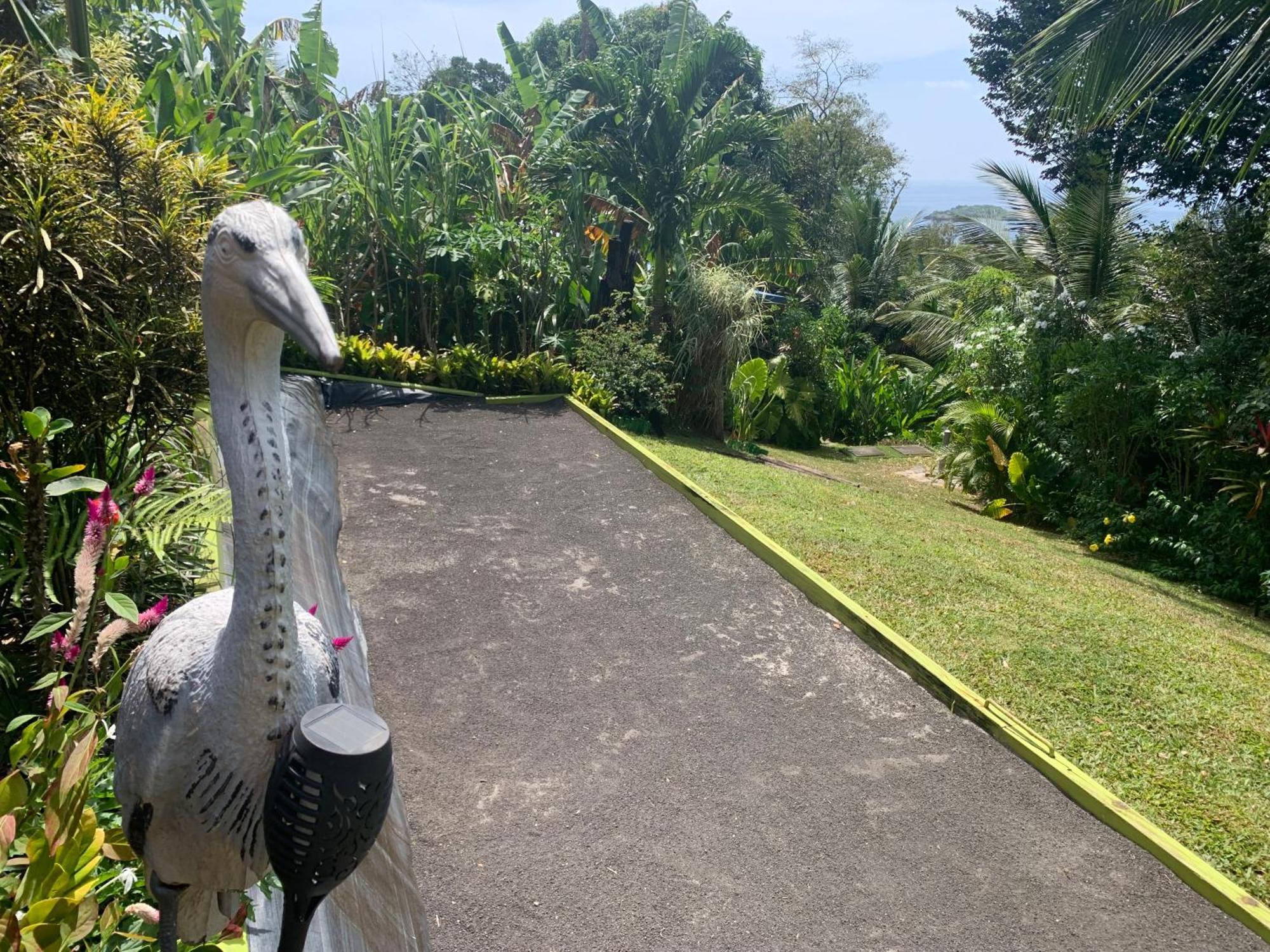 Les Ilets Caraibes Vue Mer Bouillante Zewnętrze zdjęcie