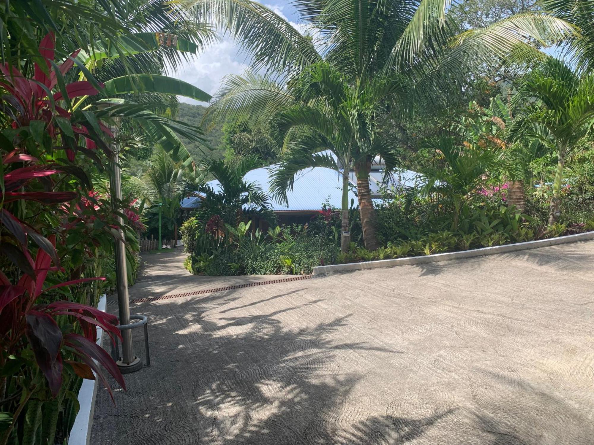 Les Ilets Caraibes Vue Mer Bouillante Zewnętrze zdjęcie